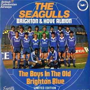 The Seagulls - The Old Brighton Blue / The Goldstone Rap Mp3