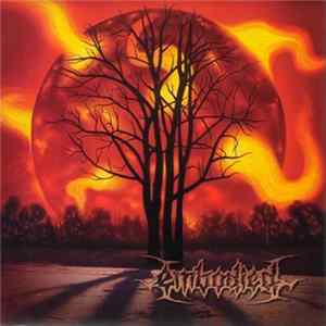 Embodied - Destined To Burn Mp3