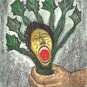 The Stinging Nettles - The Stinging Nettles Mp3