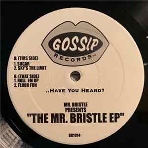 Mr. Bristle - The Mr. Bristle EP Mp3