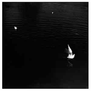OVVN - BLOVVN Mp3