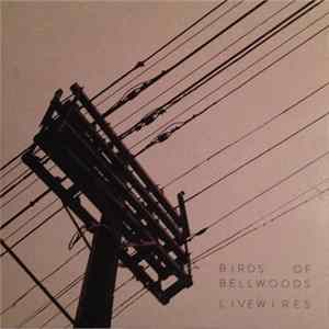 Birds Of Bellwoods - Livewires Mp3
