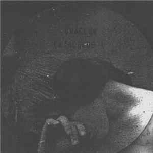 Shallow - Catalogue 1 Mp3