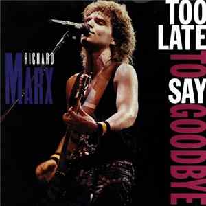 Richard Marx - Too Late To Say Goodbye Mp3