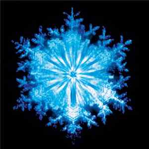 Coil - The Snow Mp3