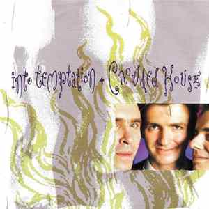 Crowded House - Into Temptation Mp3