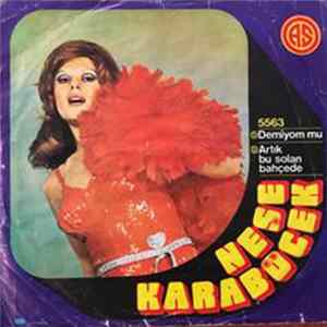 Neşe Karaböcek - Demiyom Mu / Artık Bu Solan Bahçede Mp3