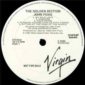 John Foxx - The Golden Section Mp3