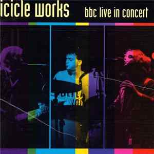 The Icicle Works - BBC Live In Concert Mp3