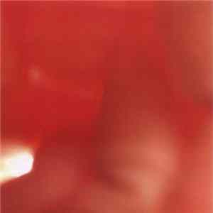 Bent Spoon Trio + 3 - Dead Salems Dance in Their Ashtrays Mp3