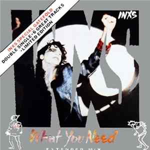 INXS - What You Need (Extended Mix) Mp3