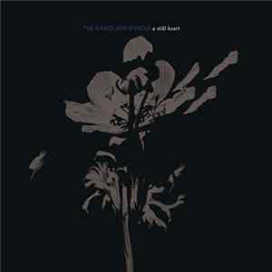 The Naked And Famous - A Still Heart Mp3