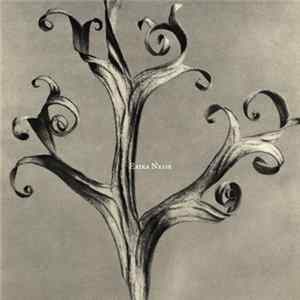 Erika Nesse - Let My Machine Talk To Me Mp3