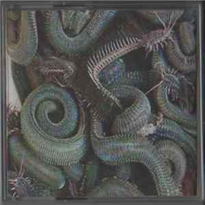 Invertebrate - Spineless Mp3