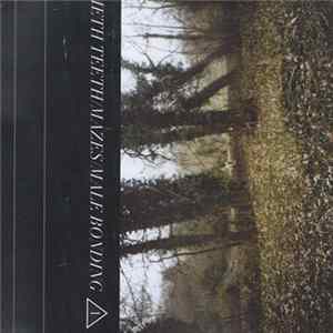 Meth Teeth / Mazes / Male Bonding - Split Mp3