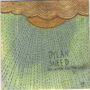Dylan Sneed - No Worse For The Wear Mp3