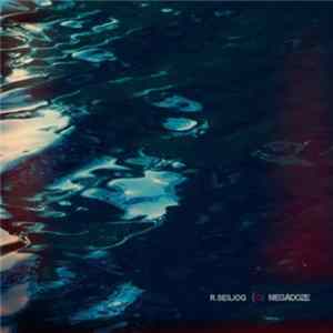 R. Seiliog - Megadoze Mp3