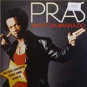 Pras - What'cha Wanna Do Mp3