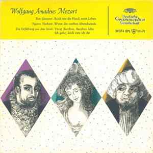 Wolfgang Amadeus Mozart - Don Giovanni / Figaros Hochzeit / Die Entführung Aus Dem Serail Mp3
