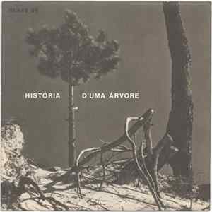 Grupo Organum - História De Uma Árvore Mp3