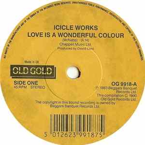 The Icicle Works - Love Is A Wonderful Colour Mp3
