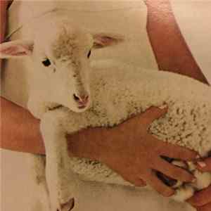Omar Rodriguez-Lopez - Killing Tingled Lifting Retreats Mp3