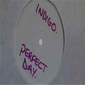 Indigo - Perfect Day Mp3