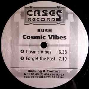 Bush - Cosmic Vibes Mp3