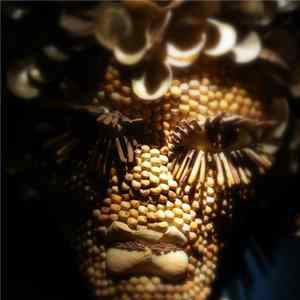 The Vitamin B12 - nedits 8 Mp3