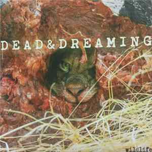 Dead & Dreaming - Wildlife Mp3