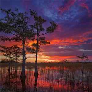 Kamacazi Kidd - One Of These Days Mp3