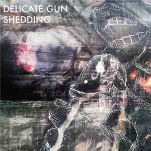 Delicate Gun - Shedding Mp3