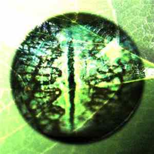Nsect - Okain Treas Mp3