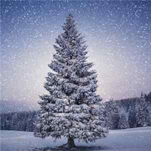 The Fabulous Playground Family - I'll Be Home For Christmas Mp3