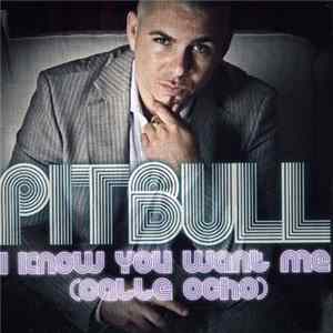 Pitbull - I Know You Want Me (Calle Ocho) Mp3