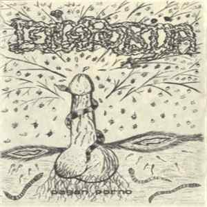 Disforija - Pagan Porno Mp3