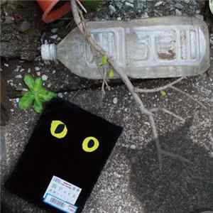 黒猫チェルシー - 猫Pack Mp3