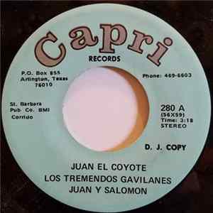 Los Tremendos Gavilanes Juan Y Salomon - Juan El Coyote Mp3