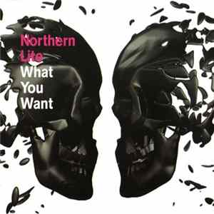 Northern Lite - What You Want Mp3