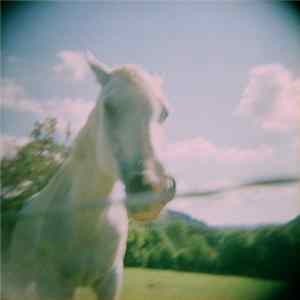 Spirits and the Melchizedek Children - We Are Here To Save You Mp3