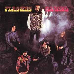 Ill Wind - Flashes Mp3