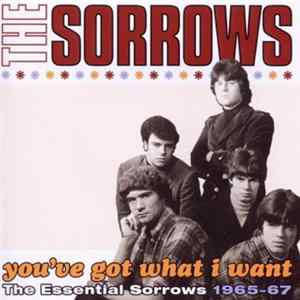 The Sorrows - You've Got What I Want: The Essential Sorrows 1965-67 Mp3