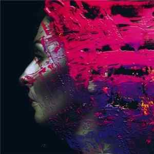 Steven Wilson - Hand. Cannot. Erase. Mp3