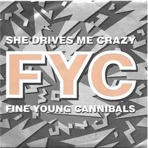 Fine Young Cannibals - She Drives Me Crazy Mp3