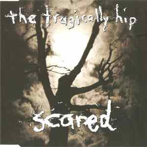 The Tragically Hip - Scared Mp3
