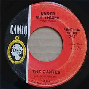 The Dantes - Under My Thumb / Can I Get A Witness Mp3