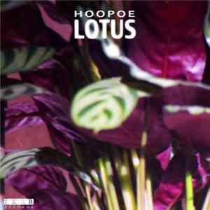 Hoopoe - Lotus EP Mp3
