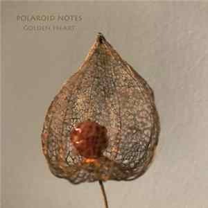 Polaroid Notes - Golden Heart EP Mp3