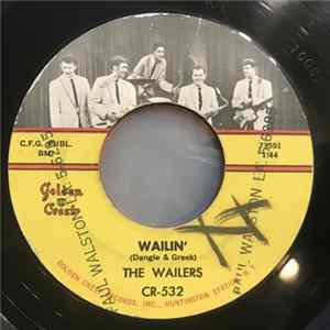 The Wailers - Shanghied / Wailin' Mp3