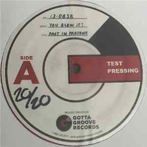 You Blew It! - The Past In Present Mp3